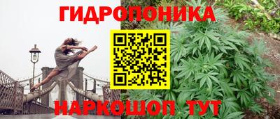 крисы Ирбит
