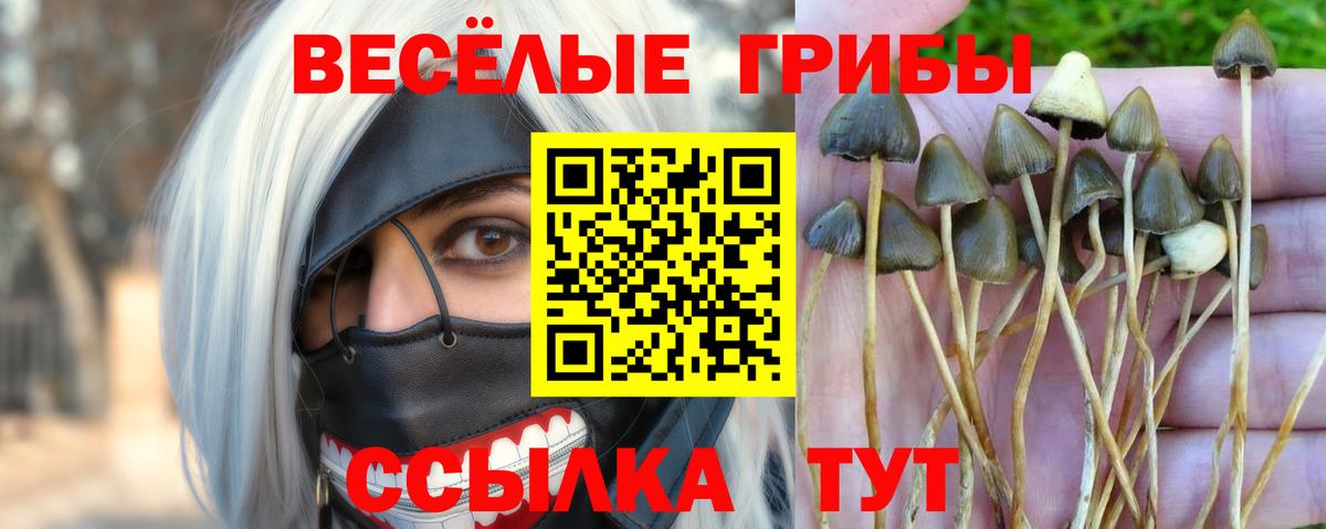 Галлюциногенные грибы прущие грибы Кунгур