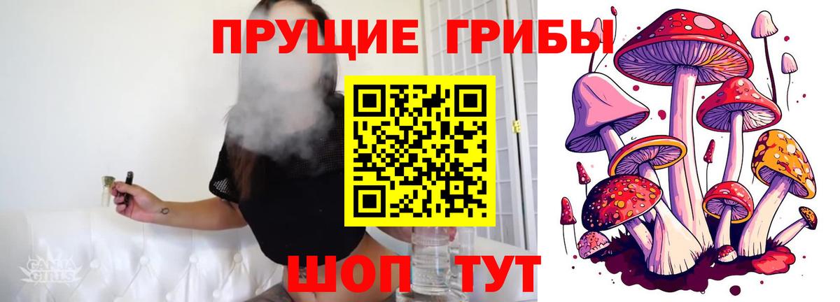 Кунгур  Галлюциногенные грибы мухоморы  Вход с VPN  Галлюциногенные грибы MAGIC MUSHROOMS 